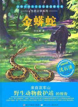 金蟒蛇