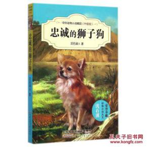 忠诚的狮子狗